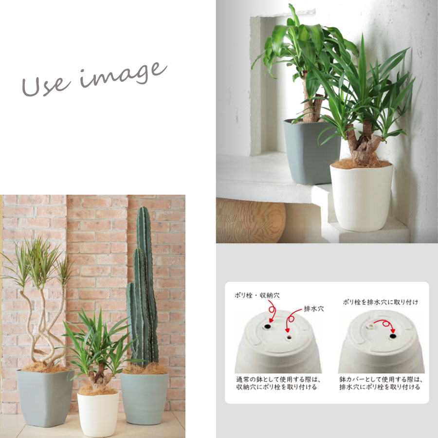 楽天市場】プラスチック製植木鉢 アトリエシリーズ 220型 スクエア 全2