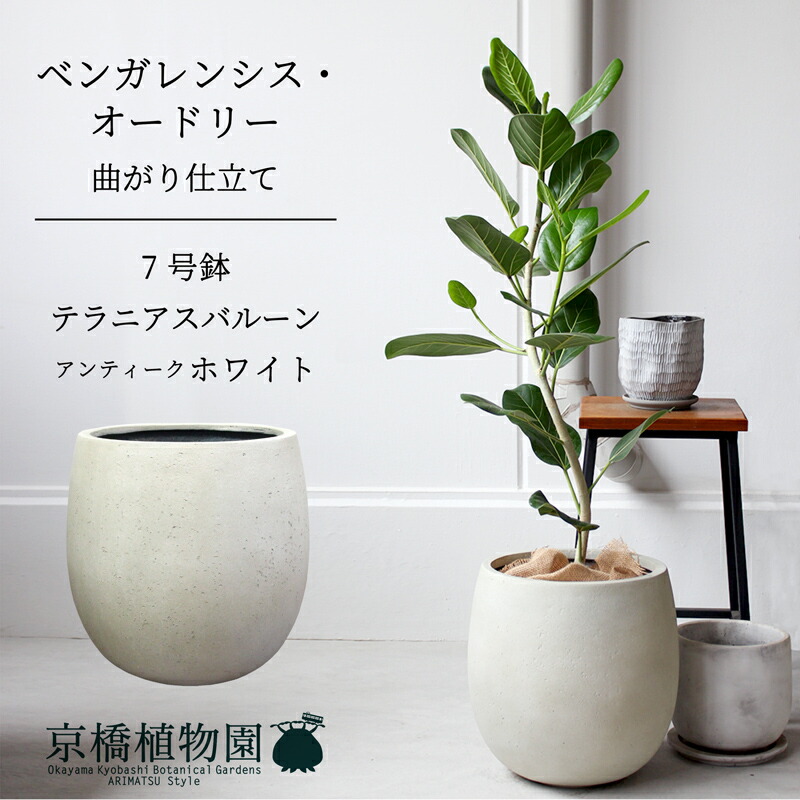 楽天市場】【マラソンクーポン有！】【バルーン鉢カバー：アンティーク