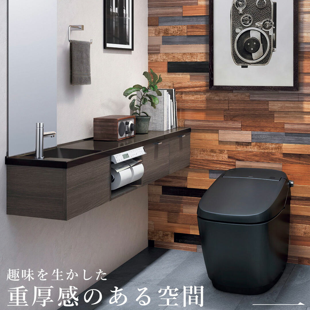楽天市場】＼ショップオブザイヤー受賞／ サティスX オプションセット