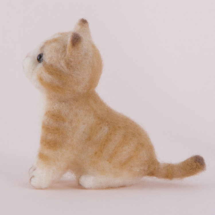 楽天市場】アクレーヌスターターセット付き 茶トラの子猫 手作りキット