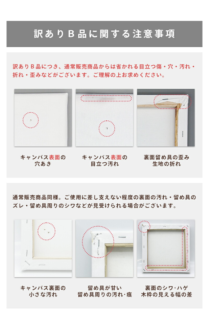 楽天市場】【アウトレット 訳アリ B品】キャンバスボード 10枚セット