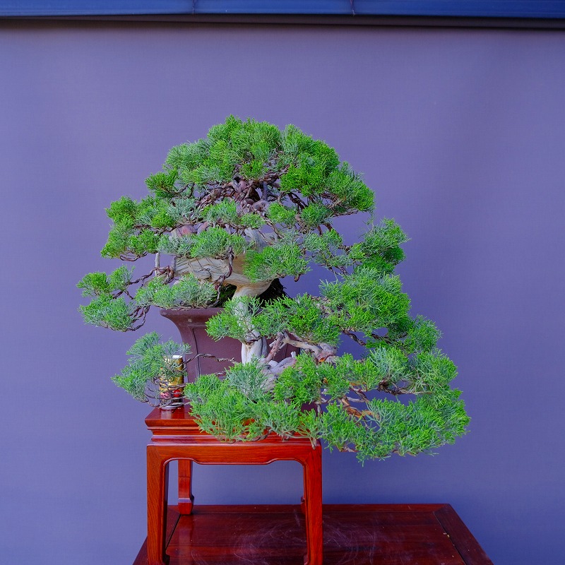 imgrc0100656302.jpg