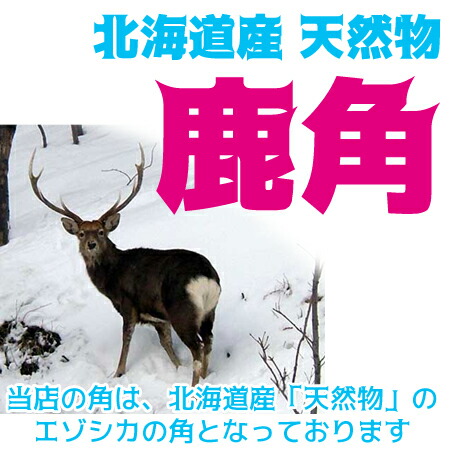 楽天市場】鹿の角 鹿角 北海道産 エゾシカ 犬 おもちゃ ペット