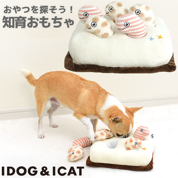 楽天市場】【 犬 おもちゃ 】iDog 知育おもちゃ チンアナゴ アイドッグ