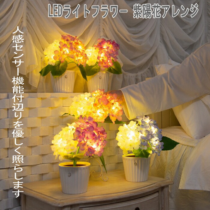 10021446-0.jpg