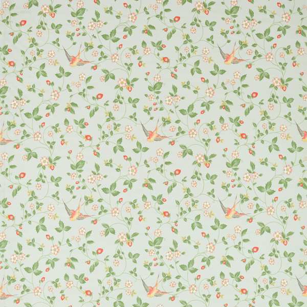 楽天市場】WEDGWOOD WILD STRAWBERRY ウエッジウッド 生地
