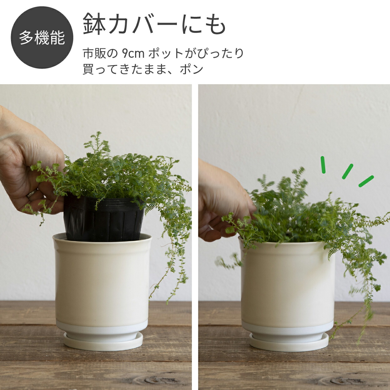 楽天市場】植木鉢 陶器 おしゃれ 室内 かわいい 北欧 鉢カバー 卓上
