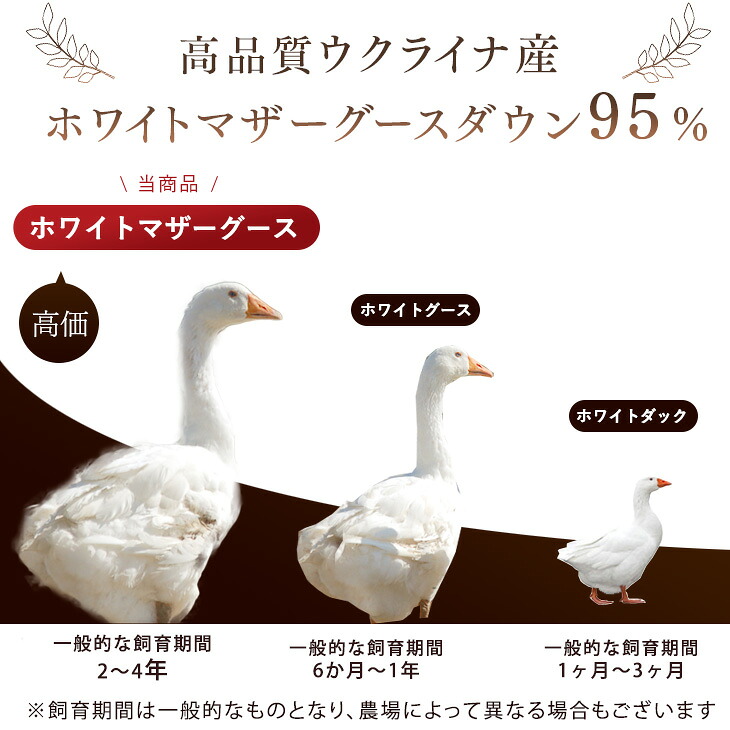 楽天市場】【本日クーポン3%引】 マザーグース 超増量 ウクライナ産