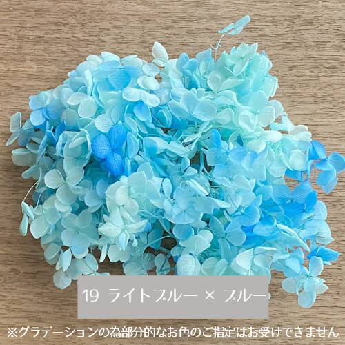楽天市場】メール便(日本郵便)送料無料 プリザーブドフラワー 紫陽花