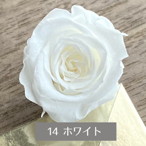 楽天市場】プリザーブドフラワー バラ 1輪 モノトーン系 選べる3色