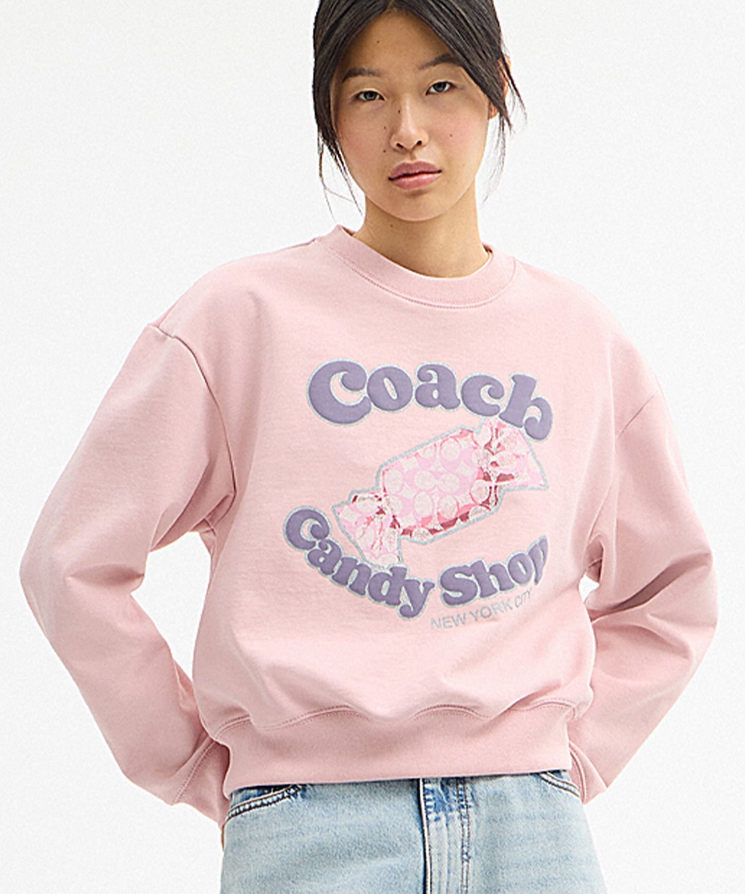 COACH OUTLET｜【公式】コレクティブル ベア・シグネチャー キャンバス