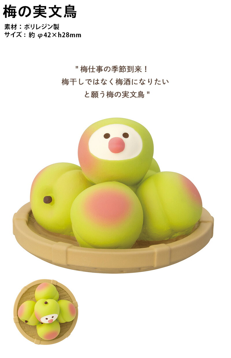 楽天市場】【ご予約4/下旬入荷予定】コンコンブル concombre 雨に