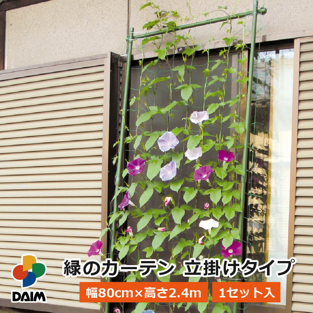 楽天市場】【2月 P2倍】daim 緑のカーテン 立掛けタイプ 日よけ シート