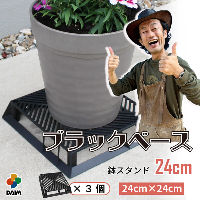 楽天市場】【カーメン君×daim コラボ】daim ブラックベース 24cm 3個