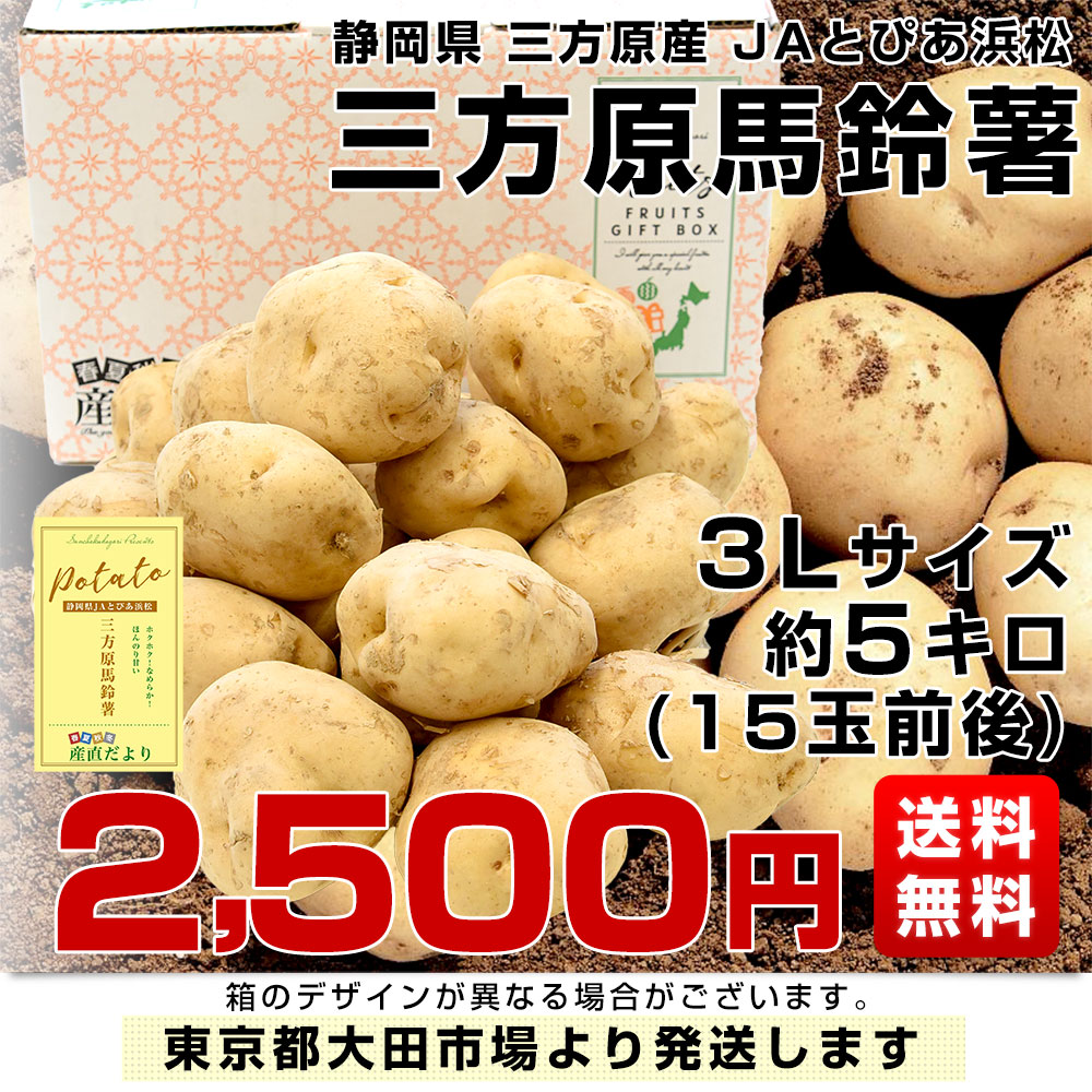 楽天市場】静岡県産 JAとぴあ浜松 三方原馬鈴薯 3Lサイズ 約5キロ（15