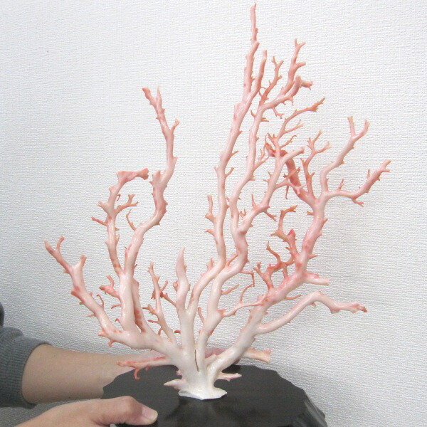 imgrc0069362025.jpg