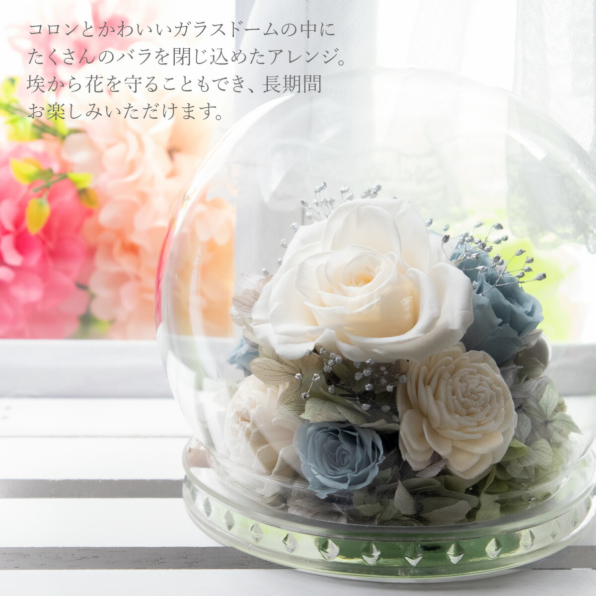 楽天市場】花 ギフト プレゼント プリザーブドフラワー ガラスドーム