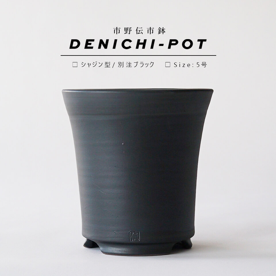 楽天市場】伝市鉢 シャジン型【ブラック】5号 φ15.5×H16cm 植木鉢 陶器