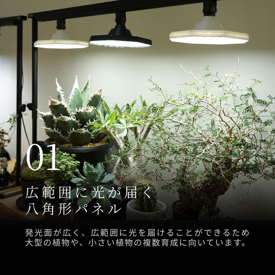 楽天市場】ROKI OCTAGON 50W【BARREL】八角形・面発光タイプの植物育成