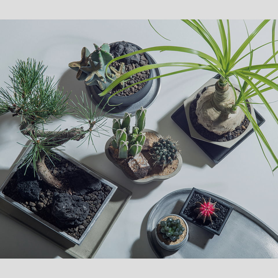 楽天市場】ブルータポット【SHITAOBI／MINI】W7cm×H3cm 植木鉢 2号