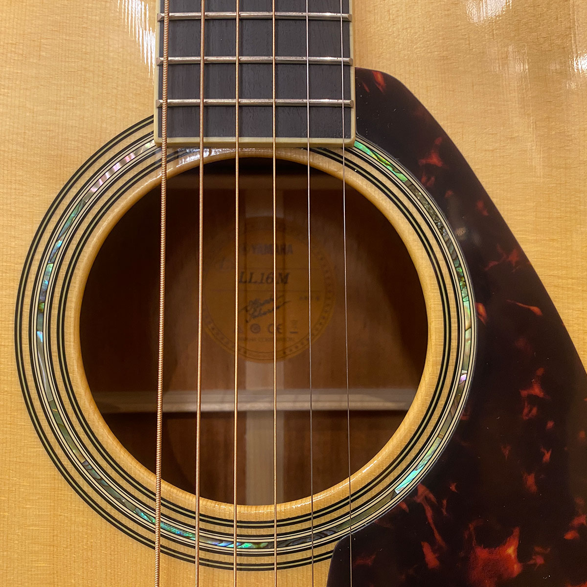 楽天市場】【新品】ヤマハ YAMAHA LL16M are NT ナチュラル パッシブ