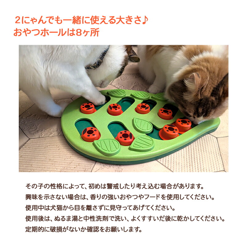 楽天市場】【訳あり・アウトレット】猫用 知育玩具 ノーズワーク