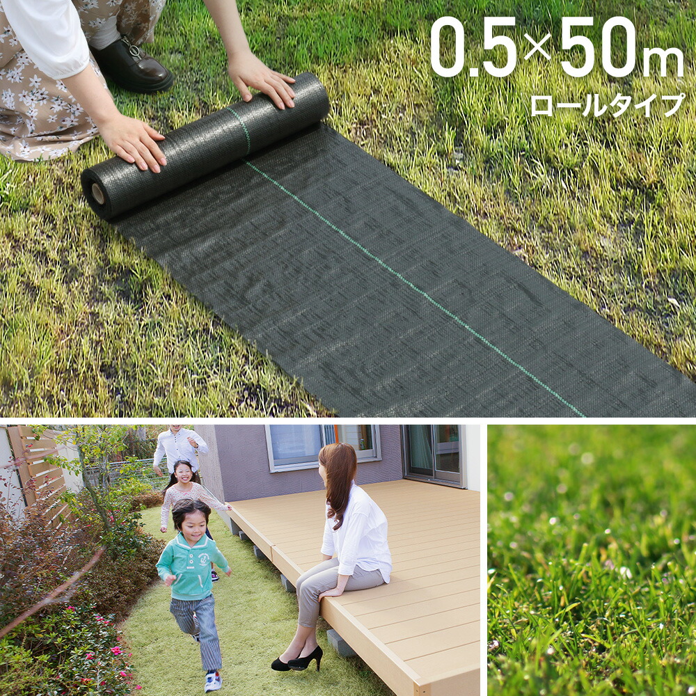 楽天市場】半額＆200円OFF≪24(火)20時～≫ 【 1本あたり2,445円 】 2