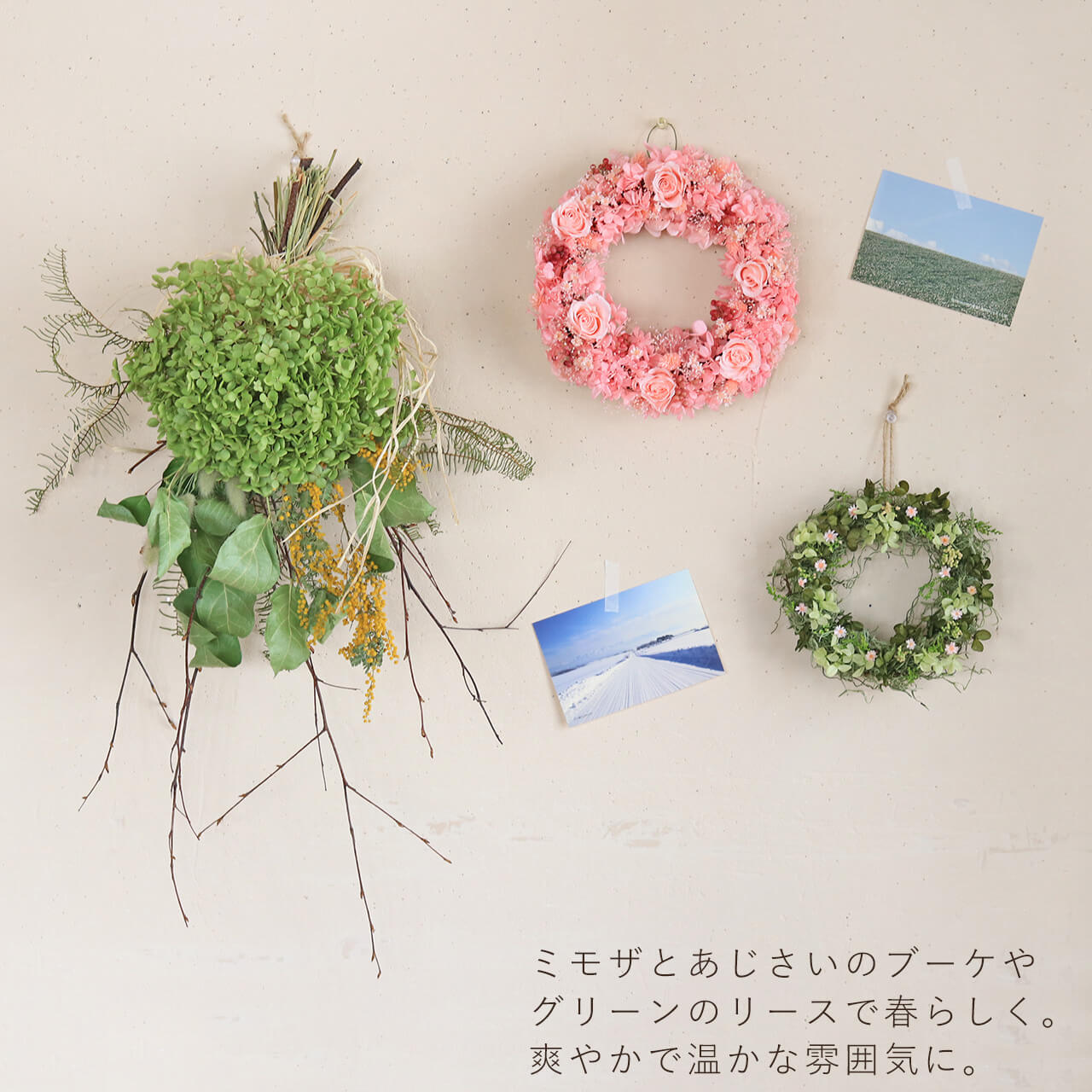 楽天市場】春爛漫ピンクのリース◇春にぴったり桜色のふわふわピンク