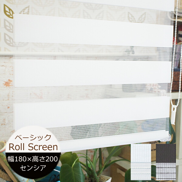 楽天市場】ロールスクリーン センシア（ベーシック） 幅180cm×高さ