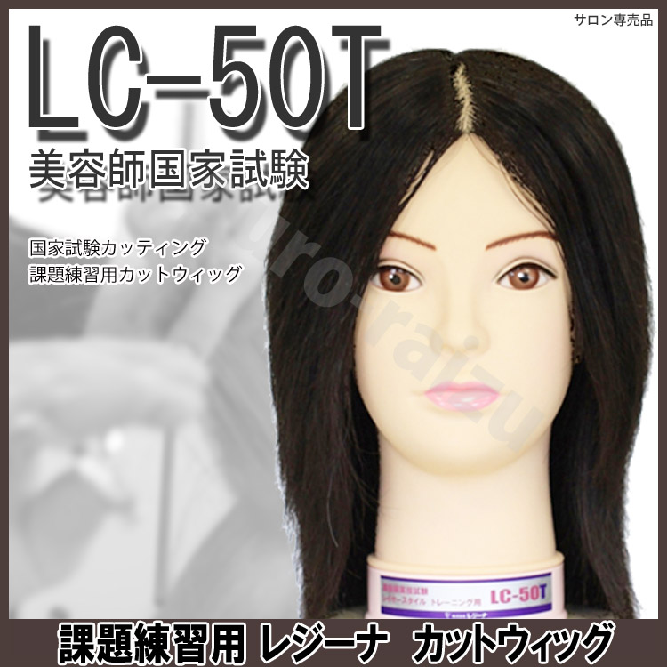 レジーナ カット ウィッグ」の人気商品一覧 | 安い商品を通販サイト