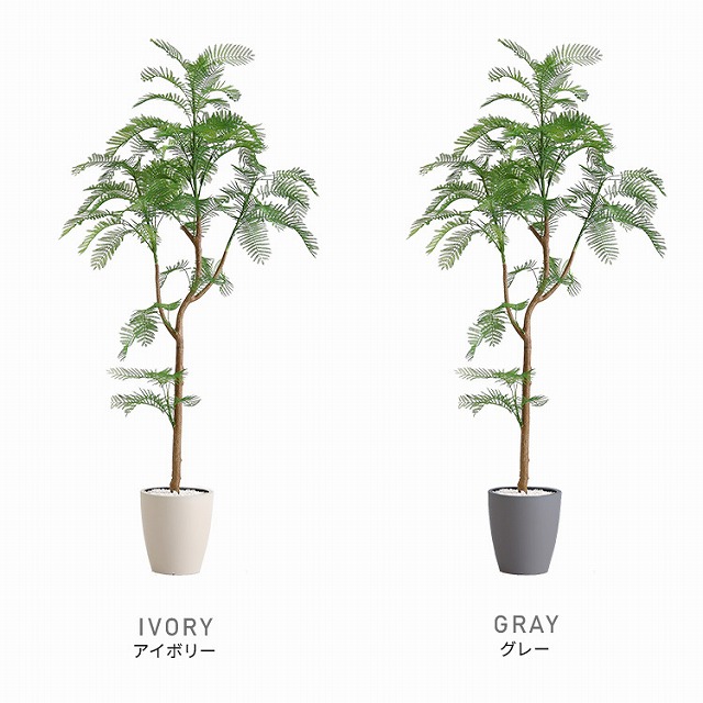 人工観葉植物 インテリア エバーフレッシュ 展示品(O-2601FB15) 人工
