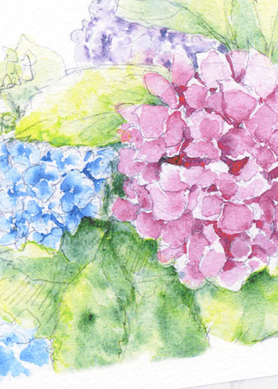 楽天市場】あじさい2 [ 紫陽花 ] ( 水彩画 風景画 ) ☆当店オリジナル