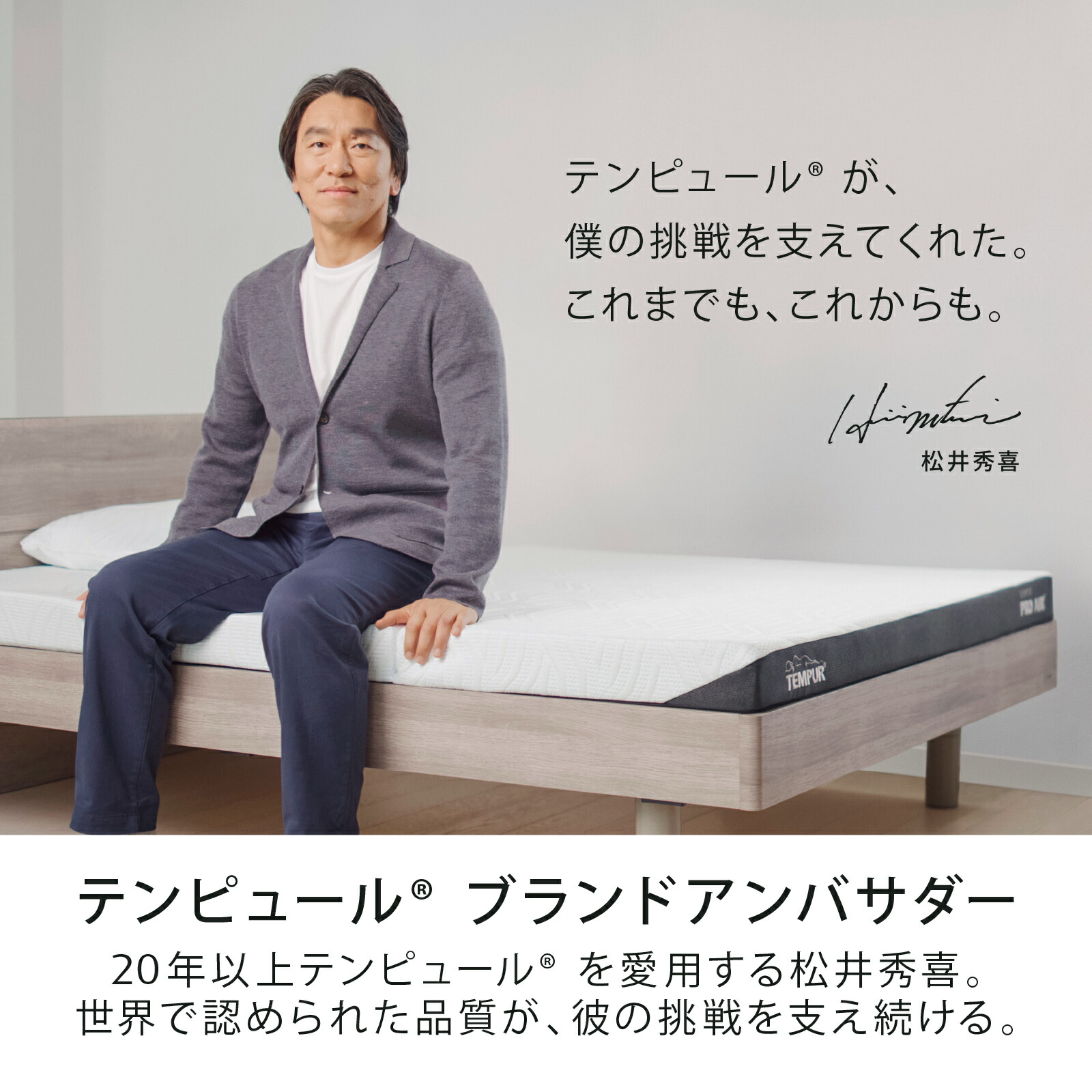 楽天市場】【最大20%OFF | 2/23(月)まで】【公式限定】テンピュール