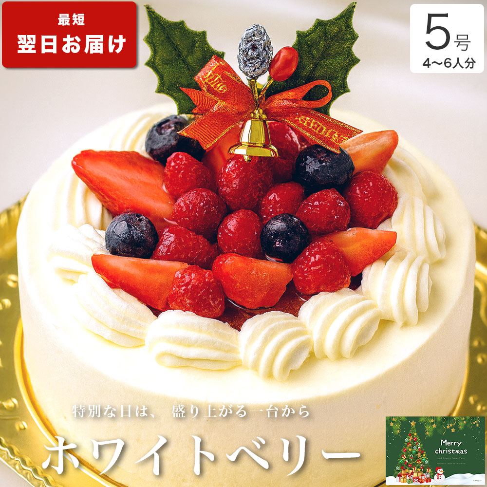 楽天市場】クリスマスケーキ 2026 送料無料 クリスマス ギフト