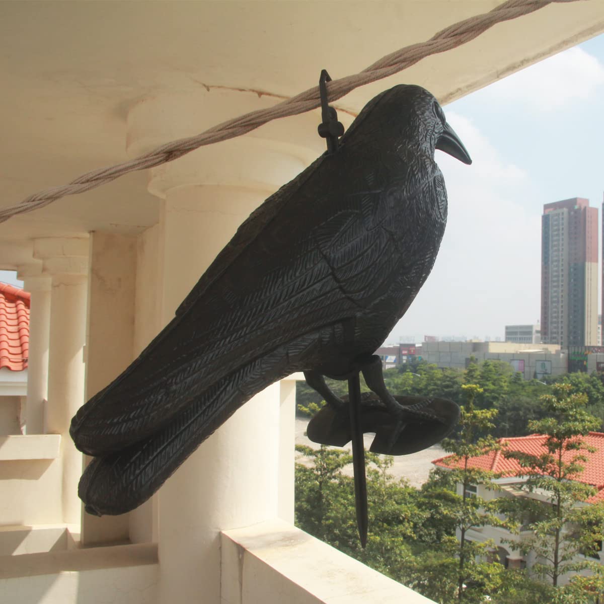 楽天市場】【送料無料】skycabin鳥獣害用品 迷惑鳥撃退! カラスよけ