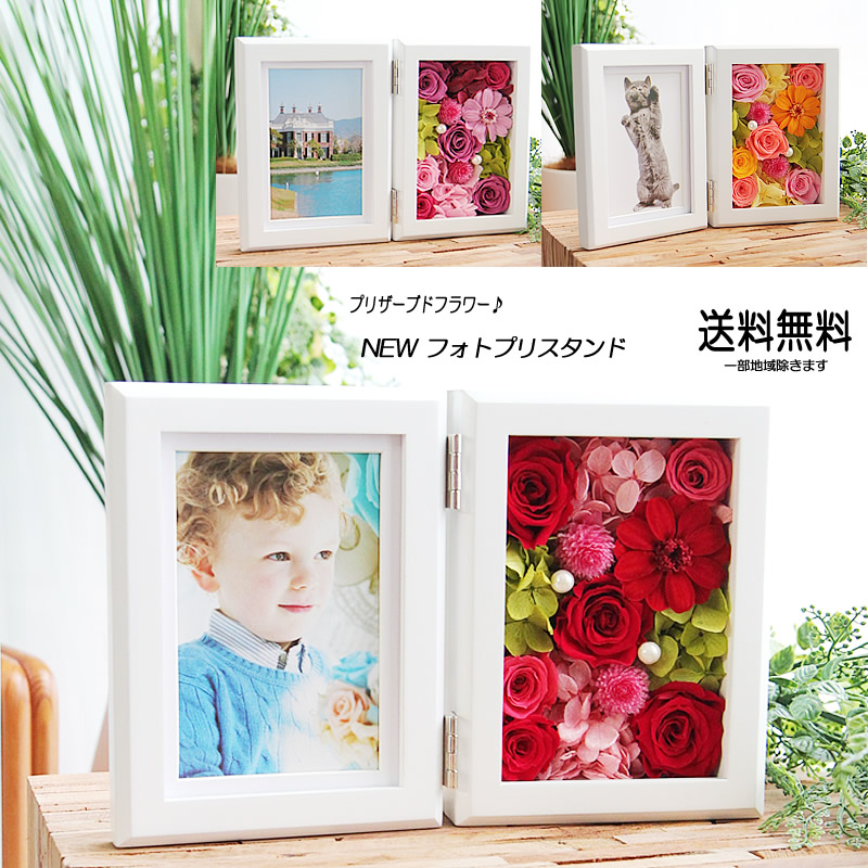 楽天市場】プリザーブドフラワー 花 ギフト プレゼント 写真立て