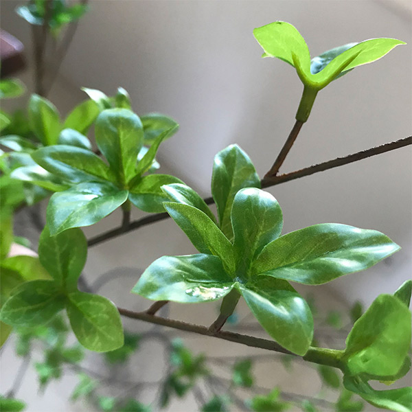 楽天市場】フェイクグリーン 観葉植物 人工観葉植物 ドウダンツツジ