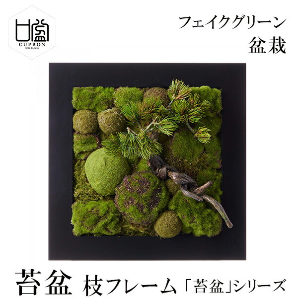 楽天市場】盆栽 苔盆 苔 枝 小枝 コケ こけ フレーム フェイクグリーン
