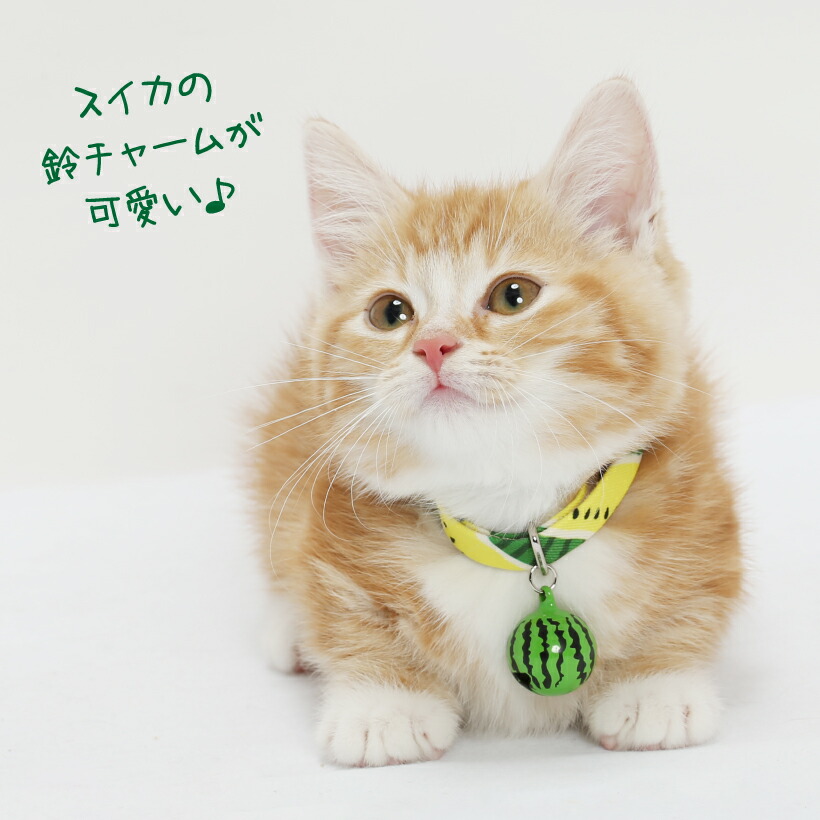 楽天市場】猫首輪 《 スイカ 》 【メール便送料込み】 セーフティー