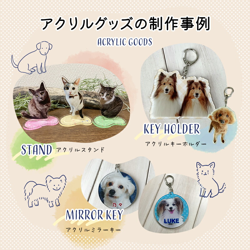 楽天市場】アクリルキーホルダー 猫 MYフォト 【ダイカット】 4mm厚