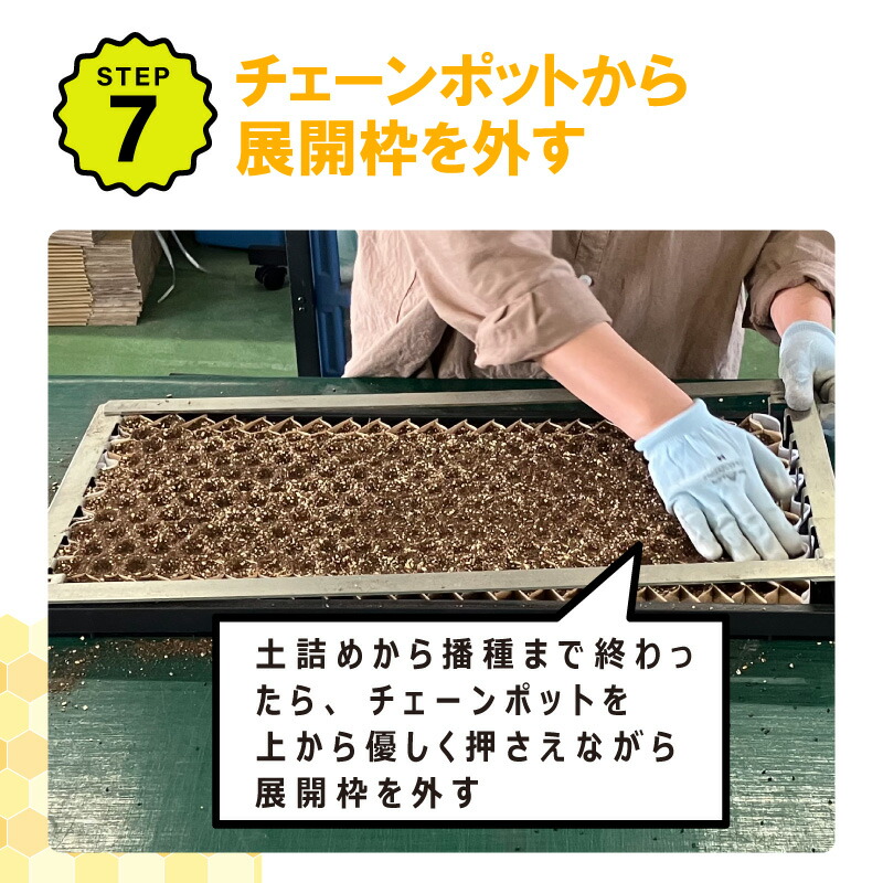 楽天市場】【100%ポイントバック エントリー＆抽選2/25まで】播種5点
