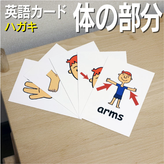 楽天市場】神経 衰弱 カード 英語の通販