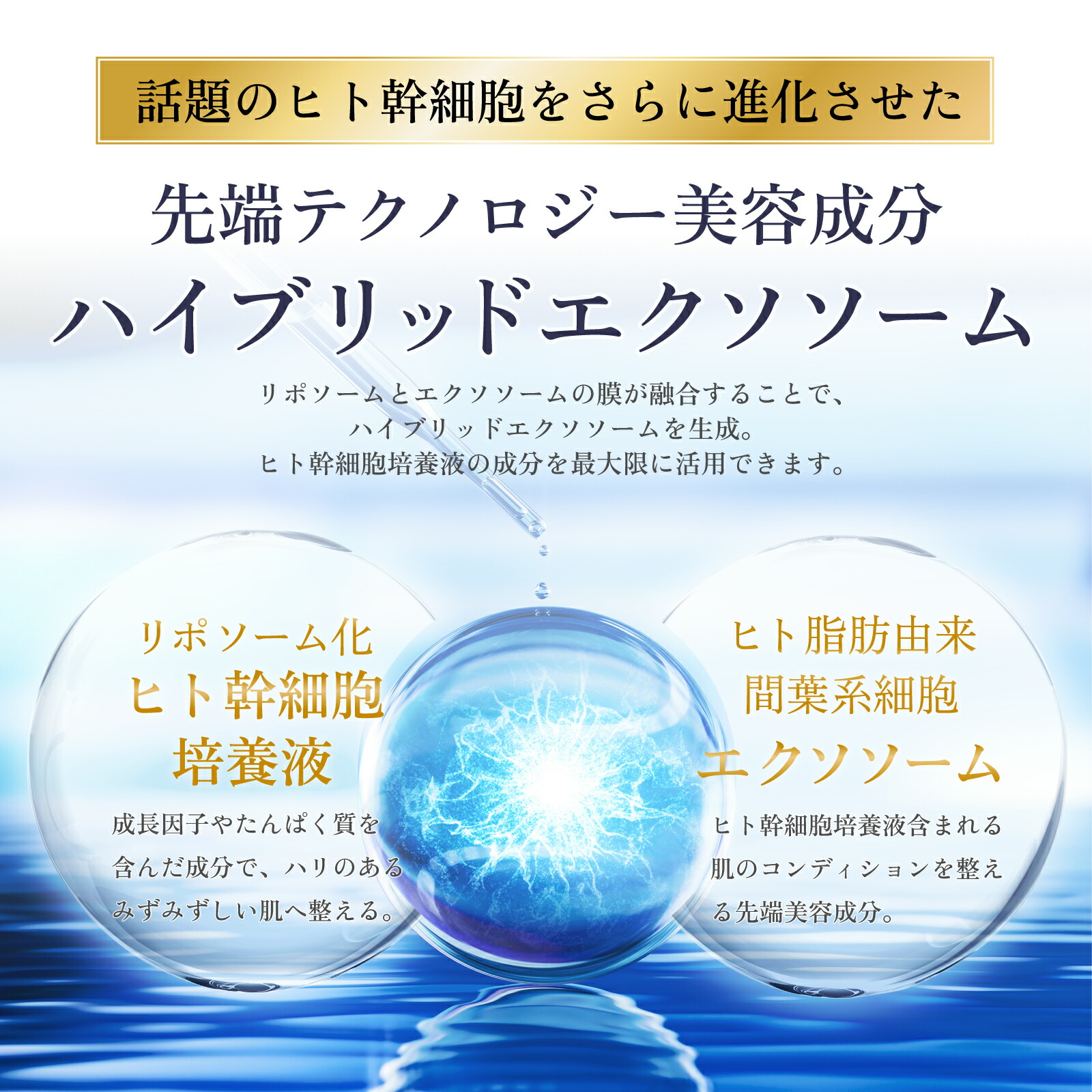 Ai Revo STEM CELL フェイスクリーム 【公式通販】
