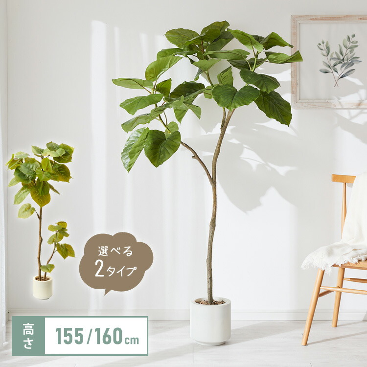 楽天市場】人工観葉植物 ウンベラータ フェイクグリーン 大型 155cm