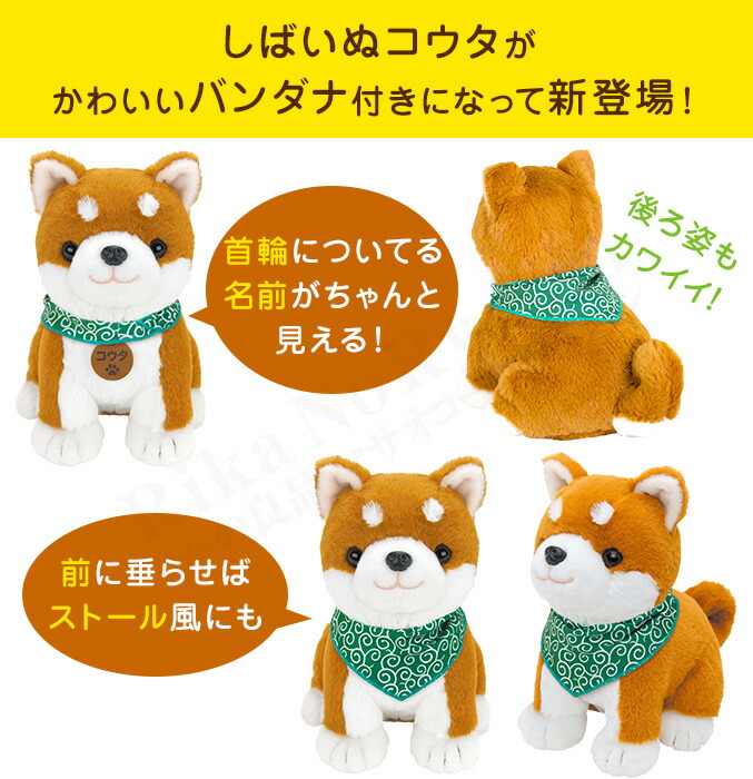 楽天市場】包装無料☆ しばいぬ コウタ 柴犬コウタ バンダナ付☆【すぐ