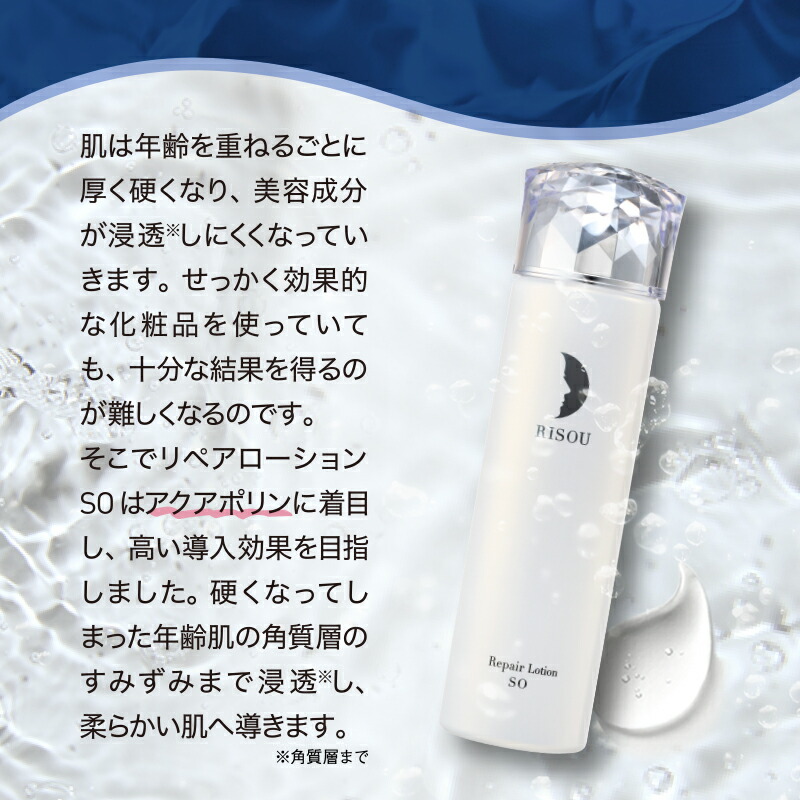 楽天市場】【20%OFF スーパーSALE限定】【リソウ公式】リペア