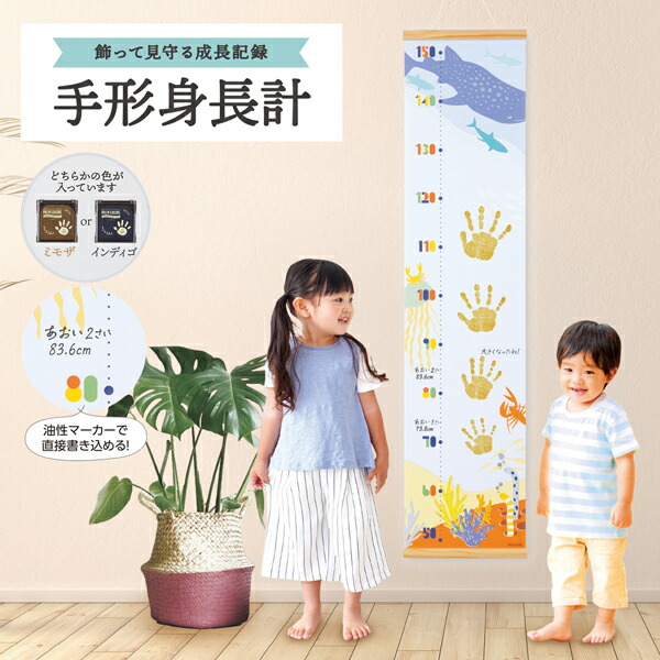 楽天市場】手形身長計 PALM COLORS パームカラーズ うみのいきもの柄