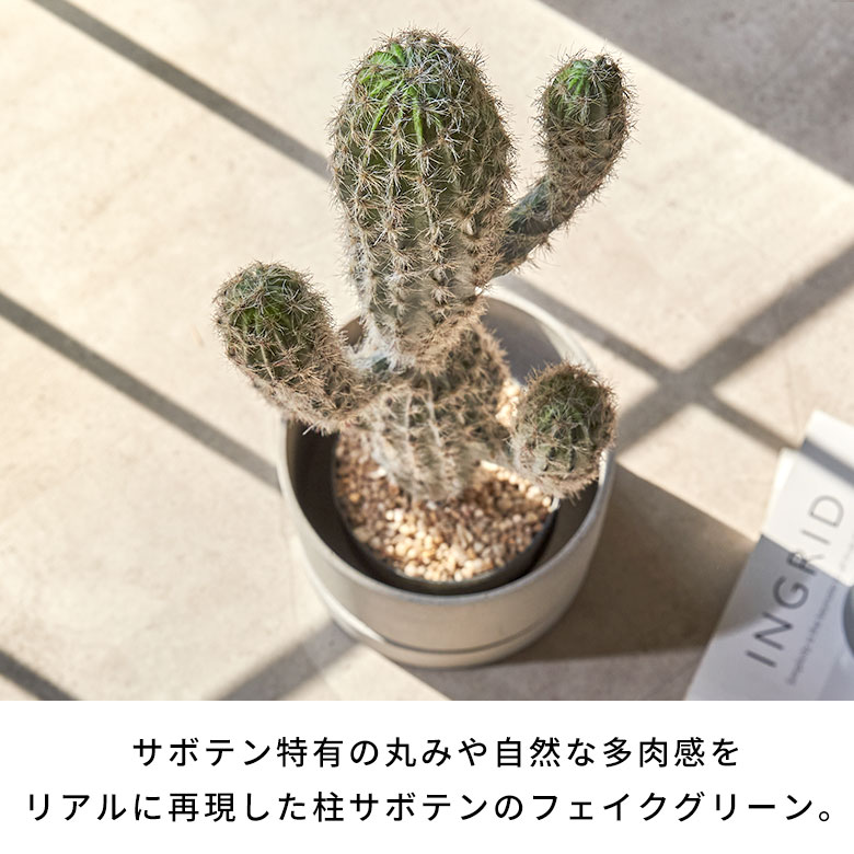 楽天市場】フェイクグリーン サボテン 観葉植物 柱サボテン 大きい W12