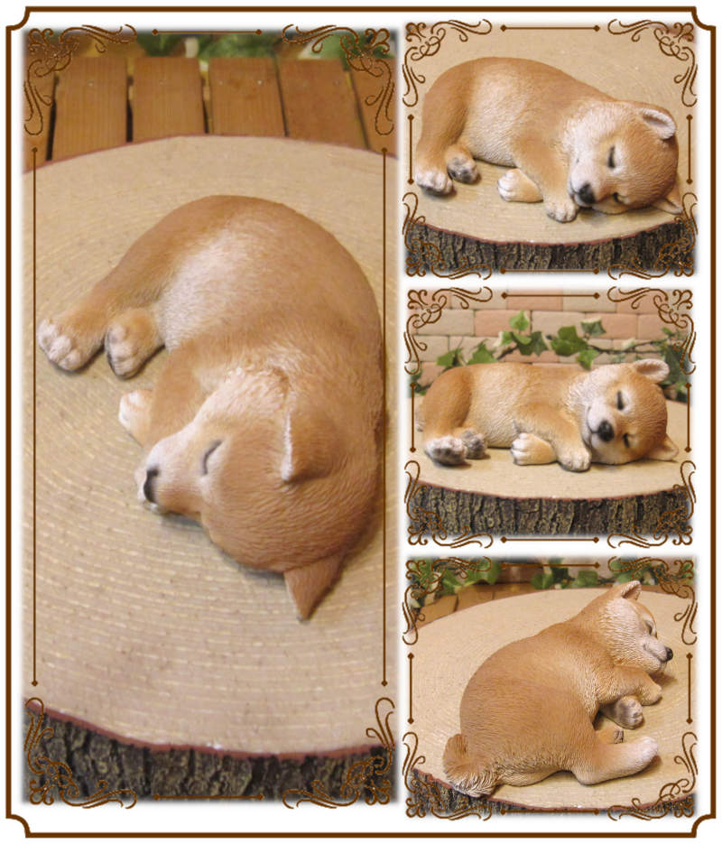 楽天市場】犬の置物 柴犬 お昼寝中！Bタイプ 日本犬 しばけん ワン