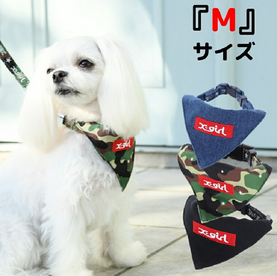 SONGです 子犬のるーくL カモフラフィールド m73762159388_1.jpg